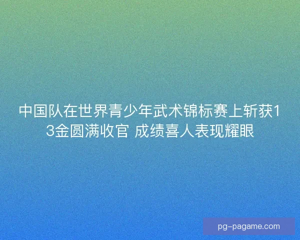 中国队在世界青少年武术锦标赛上斩获13金圆满收官 成绩喜人表现耀眼