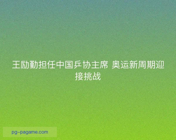 王励勤担任中国乒协主席 奥运新周期迎接挑战