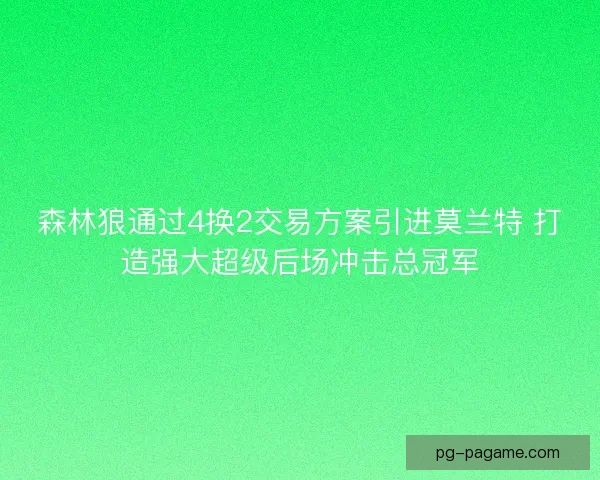 森林狼通过4换2交易方案引进莫兰特 打造强大超级后场冲击总冠军 森林狼通过4换2交易方案引进莫兰特 打造强大超级后场冲击总冠军
